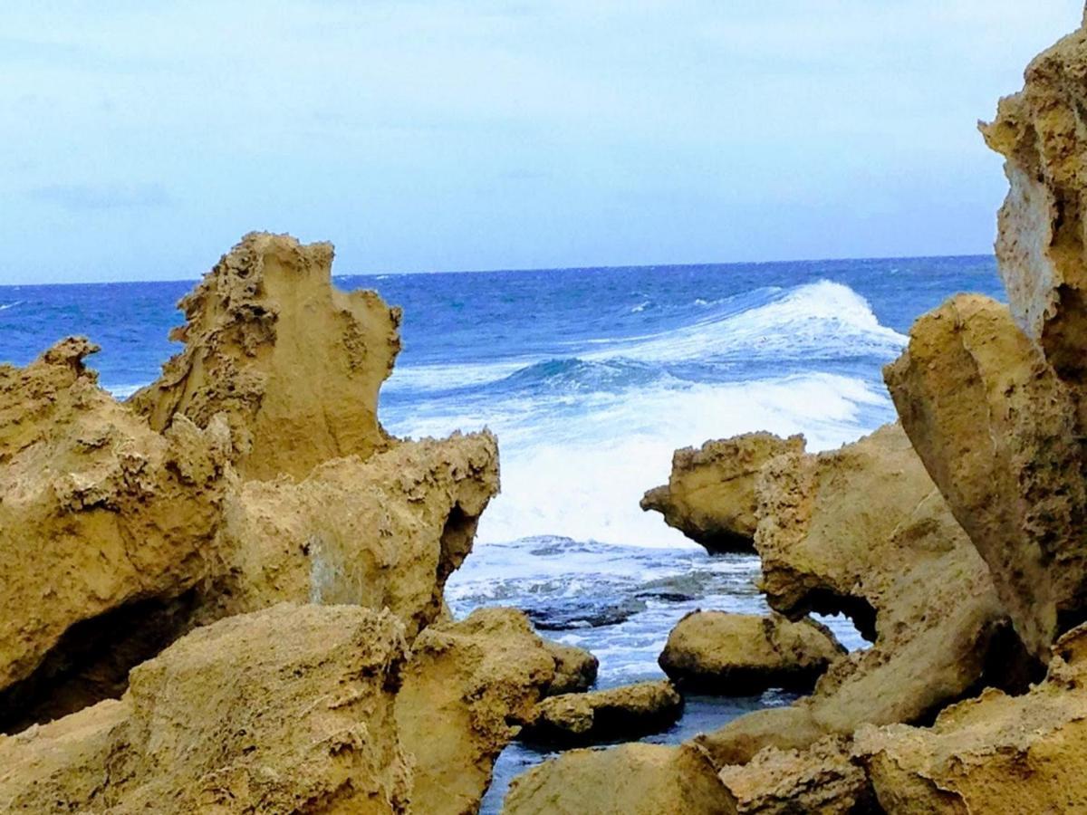 Uptown Holiday App & Pool Daily Rental Contactless Check In & Check Out Famagusta  Exteriör bild